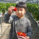 김태경 농장 이미지