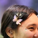 꿈꾸는 정원 이미지