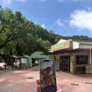 마카오여행,연년생아이랑 자이언트판다파빌리온 방문후기(스튜디오시티에서가는법,오는법)