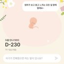 [6주-8주 임신일기] 육오빠 임신 다이어리 구매, 부모님 임밍아웃, 첫 심장소리 &amp; 산모수첩, 압소바...