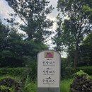 부영 | 제주 부영cc 라운딩 후기
