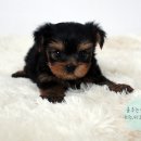 수원-0918 이미지