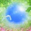 눈부신아침 이미지