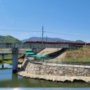 낙동강종주자전거길 | 원동역 겹벚꽃/낙동강 종주도로 자전거길 겹벚꽃 보러~^^