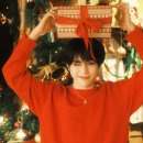 [🌻 ON ☀️DAY] MERRY CHRISTMAS 🎁🎄 이미지