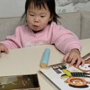 (주)메트로아이.디 | 잉글리시에그센터 4세영어 전집 디에그 옐로우 후기