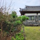 동박생이 | 제주 감성 가득 담은 한옥 월정리펜션 동박생이 첫 방문 후기