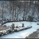 남차보건진료소 이미지