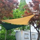 남동근린공원(구) 이미지