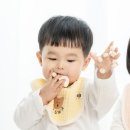 마미푸드 - 서귀포시 | 마미푸드