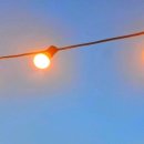 독서챌린지 몰입(하반기) 이미지