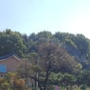 새봉낚시터 이미지