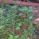 현수농장 이미지