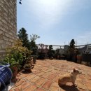 성미공인중개사사무소 이미지