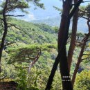 덕산도립공원 수덕사 주차장 | 덕숭산 등산코스 주차장 등린이 등산 후기