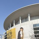 24년 상반기 우리춤 레퍼토리 | 겁이 없는 넌 떨어질 걸 알면서도 걷지