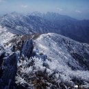 [울산안내산악회] 12월21일(토) 겨울왕국 무주 덕유산 향적봉 눈꽃산행 [곤도라탑승] 이미지