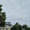 고즈넉이 | 제주도 서귀포시 남원읍 조용한 카페, 고즈넉이 후기