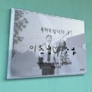 은미헤어갤러리 | 웨딩촬영 후기 주간편 :<테라스>스튜디오 X<아비가일>드레스