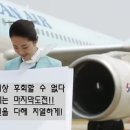 스카이윙 이미지