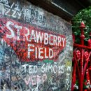 스트로베리필즈(Strawberry Fields)