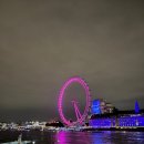 요기앤김밥 | 런던 남부 세븐시스터즈 + 브라이튼 당일치기 버스투어 내돈내산 리얼 후기