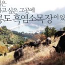 천해목장 이미지