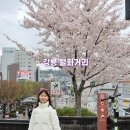 월화공원(부흥마을) | 강릉 여행 가볼만한곳 볼거리 먹거리 가득한 월화거리