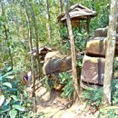 숲속의작은마을 이미지