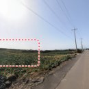 금성리 농로 1 이미지