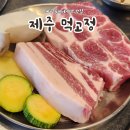 하예로 | 제주 서귀포 가볼만한곳 오설록, 귤농장, 먹고정, 야시장