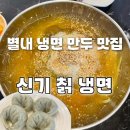 핏불핏 | 별내 냉면 맛집 발견🍜내돈내산 해장으로 최고였던 칡냉면 후기