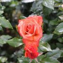 기장군노인복지관(본관) 이미지