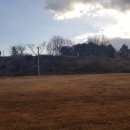 영광목장 이미지