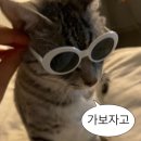 카페우내 네이버블로그