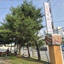 장어왔소(계백) 이미지