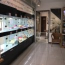 리얼허브애견카페 이미지