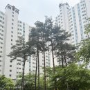 남한고 버스정류장 이미지