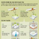 루디(Ludi) 이미지