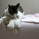 토끼사냥 이미지