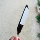 복터진 강아지 | 다가온 초여름(+콘서트 후기)