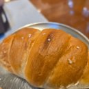 하패리61
