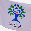 곡성-203 이미지