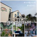 (주)편한 | [청주여행] 아기랑 가도 편한 청주 대형카페 <캘리포니아> 내돈내산 후기(feat. 14개월 아기와 쌀빵)