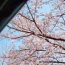 상족바다펜션 이미지