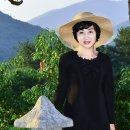 창도 이미지