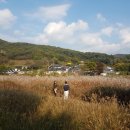 부자명당공인중개사사무소 이미지