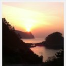 해금강바람애 Daum카페