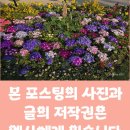 에이치앤헤어 네이버블로그