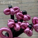 스튜디오클레어